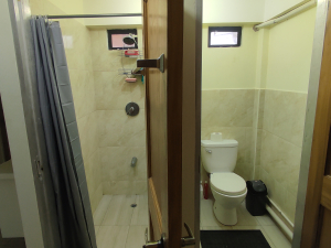 shower and toilet